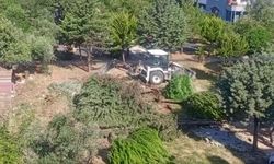 Parktaki ağaçların sökülmesine vatandaşlardan tepki