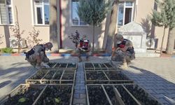 Suriye'ye geçirilmek istenen 2 bin 114 saka kuşuna 19 milyon 871 bin TL ceza