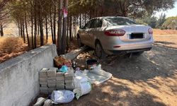 Arsuz'da ağaca çarpan otomobilin sürücüsü yaralandı