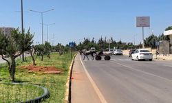 Otomobilin çarptığı kadın metrelerce havaya uçarak can verdi