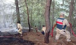 Yayladağı’nda ormanlık alan yangını kontrol altına alındı