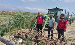 Antakya'da mısır hasadı devam ediyor