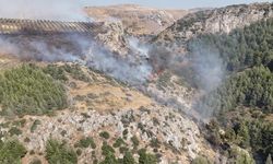 Hatay’daki orman yangını kontrol altına alındı