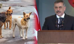 Bakan Çiftçi: 1,5 ay sonra başıboş köpek sorunu kalmayacak