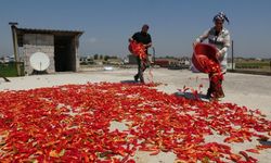 Kavurucu sıcakta devam eden acı mesaiyle birlikte damlar kırmızıya büründü