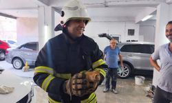 İskenderun’da mahsur kalan kedileri itfaiye kurtarıldı