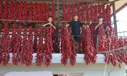 Tek tek ipe dizilen dolmalık acı biberler, mahalledeki balkonları kırmızıya bürüdü