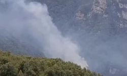 Hatay'daki orman yangını kontrol altına alındı