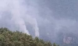 Hatay’daki orman yangınının enerjisi düşürüldü