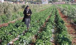 İlçenin tek kadın emlakçısı