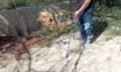Yerleşim yerinde görülen yılan yakalanarak doğaya bırakıldı