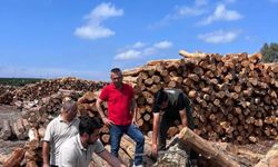 İskenderun Sahil Orman Deposu’nda inceleme