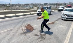 Yağ dökülen yola avuçlarıyla kum taşıyan polis takdir topladı
