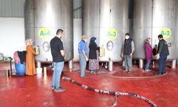 Zeytin üreticilerine mesleki eğitim desteği