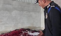 Mide bulandıran şartlarda gıda üretmişler