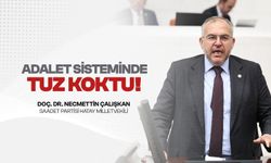 Çalışkan: Cezasızlık algısı ve liyakatsizlik şiddeti tırmandırıyor