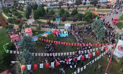 Altınözü Festivali’nde zeytin, lezzet ve eğlence bir arada