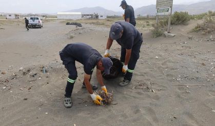 Kuş cennetinden kamyon kamyon moloz ve torbalarca poşet çöp çıktı