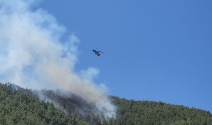 Hatay'da orman yangını havadan müdahaleyle kontrol altına alındı