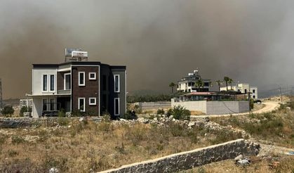 Hatay’da orman yangını