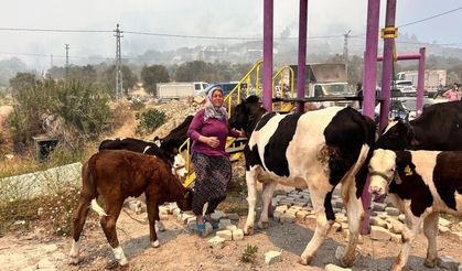 Alevlerin sıçradığı ahırından ekiplerin yardımıyla hayvanları kurtardı