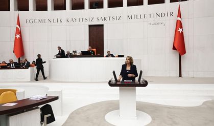 Yıldırım Kara: Reyhanlı ve Tahtaköprü barajlarına neden kaynak ayrılmıyor?