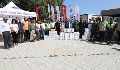 Hatay’da Akdeniz meyve sineğiyle mücadele kapsamında çiftçiler desteklendi