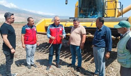 Kırıkhan'da ayçiçeği hasadı başladı