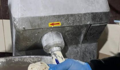 Fırın denetiminde mide bulandıran görüntüler, zabıta böcek çeşitlerini saymakla bitiremedi