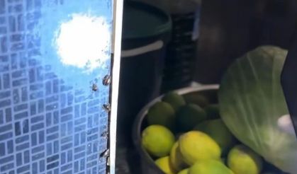 Alışveriş merkezindeki restoranlarda mide bulandıran görüntüler