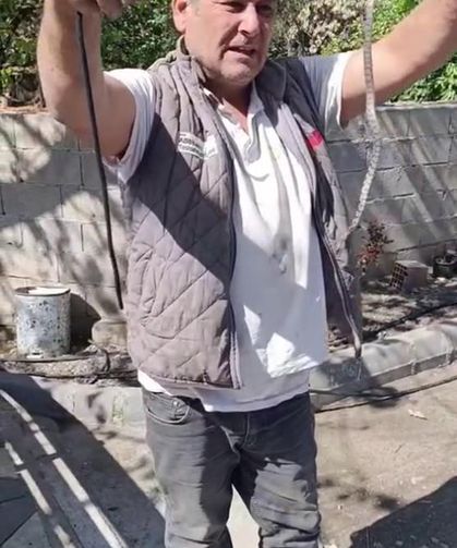 Eve giren yavru yılanı vatandaşlar yakaladı