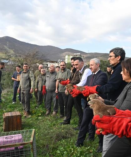 Tedavisi tamamlanan yırtıcı kuşlar özgürlüğe kanat çırptılar