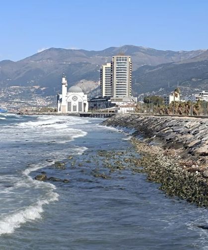 İskenderun Körfezi'nde denizde çekilme yaşandı