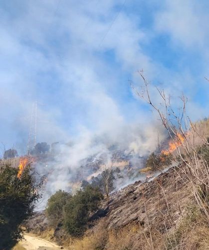 Defne'de çıkan bahçe yangınından alevler yükseldi
