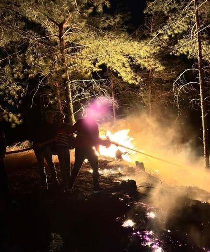 Ormanlık alanda çıkan yangın büyümeden söndürüldü