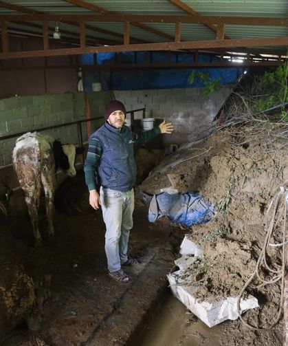 Heyelanda önü toprakla dolan ahırda hayvanlar mahsur kaldı