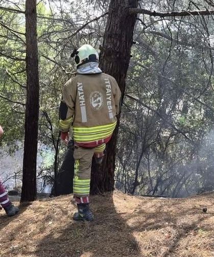 İskenderun'da orman yangını kontrol altına alındı