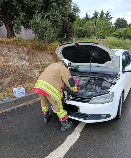 Otomobilin motoruna giren kediler kurtarıldı