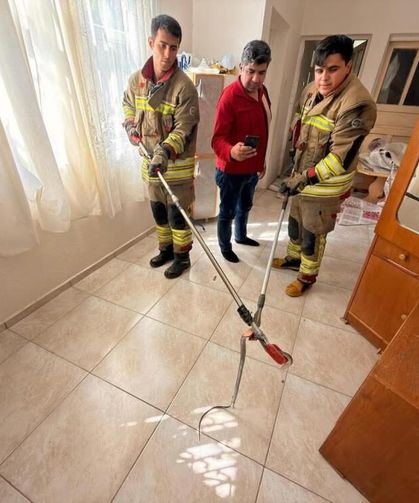 İskenderun'da eve giren yılanı itfaiye yakaladı