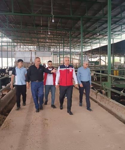 Kurban Bayramı öncesi hayvan satış yerlerinde sıkı denetim