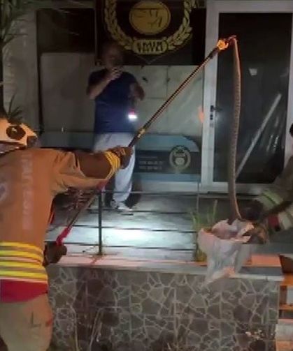 Evin bahçesine giren 1 buçuk metrelik yılan korkuttu