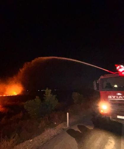 Anız yangını zeytinliğe sıçradı: 200 dönüm arazi zarar gördü