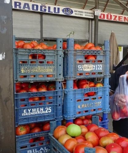 Sebze halindeki domatesin fiyatı 15 TL'ye düştü