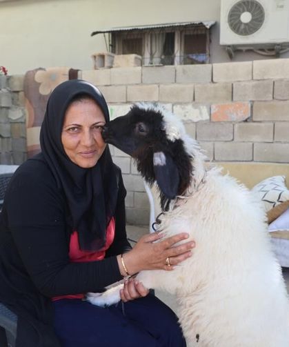 Evladını lösemiden kaybeden anne, teselliyi peşinden ayrılmayan kuzuda buldu