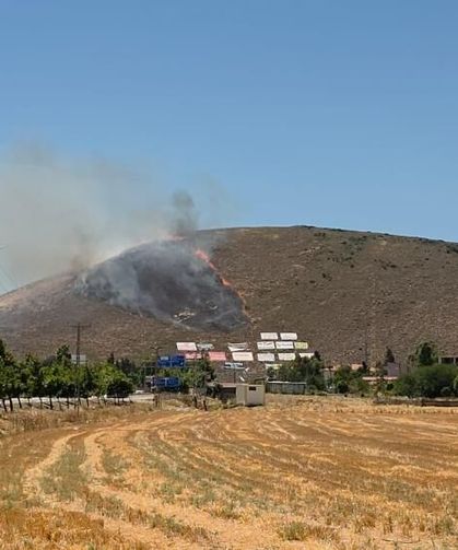 Hatay’da çıkan orman yangını büyümeden söndürüldü