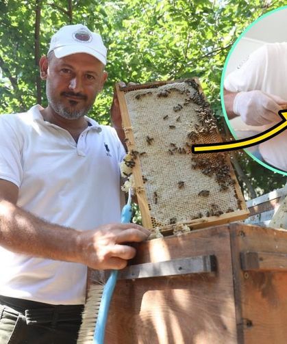 Yağışlarla birlikte açan çiçekler arıları sevindirirken bal hasadı yüz güldürdü