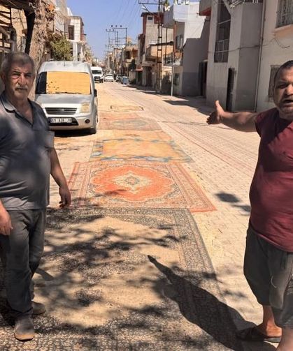 Vatandaşlar, asfaltlanmayan bozuk yollara halı serdi