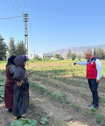 Antakya’da sebze üreticisiyle sahada istişare edildi
