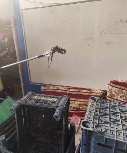 Yerleşim yerlerine giren yılanlar yakalandı