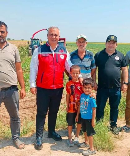 Hatay'da silajlık mısır hasadı başladı